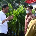 Presiden : Terima Kasih Petani dan Pak Menteri, Pertanian Terus Berproduksi