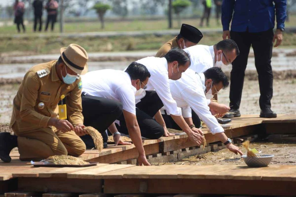 Presiden Jokowi saat di Balai Besar Penelitian Tanaman Padi Kementan, Kabupaten Subang, Jawa Barat, Selasa, 12 Juli 2022.