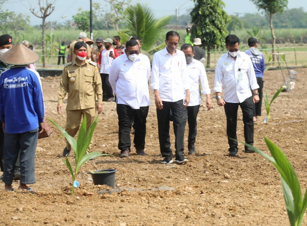 Presiden Jokowi usai melakukan tanam perdana kelapa genjah di Desa Sanggang, Kecamatan Bulu, Sukoharjo, Jawa Tengah, Kamis (11/8/22).