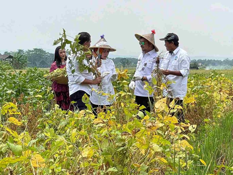 IMG-20220916-WA0009_11zon