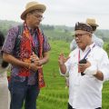 Kunjungi Jatiluwih, Kementan Perkenalkan Praktik Pertanian Berkelanjutan ke Delegasi AMM G20