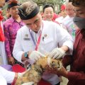 Peringati Hari Rabies Sedunia, Kementan Laksanakan Vaksinasi Hewan Gratis