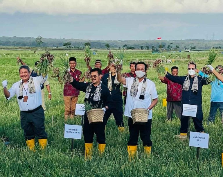 Menteri Pertanian Syahrul Yasin Limpo (Mentan SYL) saat meninjau tanaman bawang merah di Kabupaten Kulonprogo, Yogyakarta, Senin, 3 Oktober 2022.