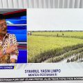 Mentan SYL Minta Jajarannya dan Pemerintah Daerah Pastikan dan Jaga Pangan Aman