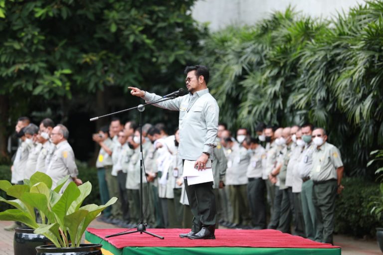 WhatsApp Image 2022-11-10 at 11.50.47