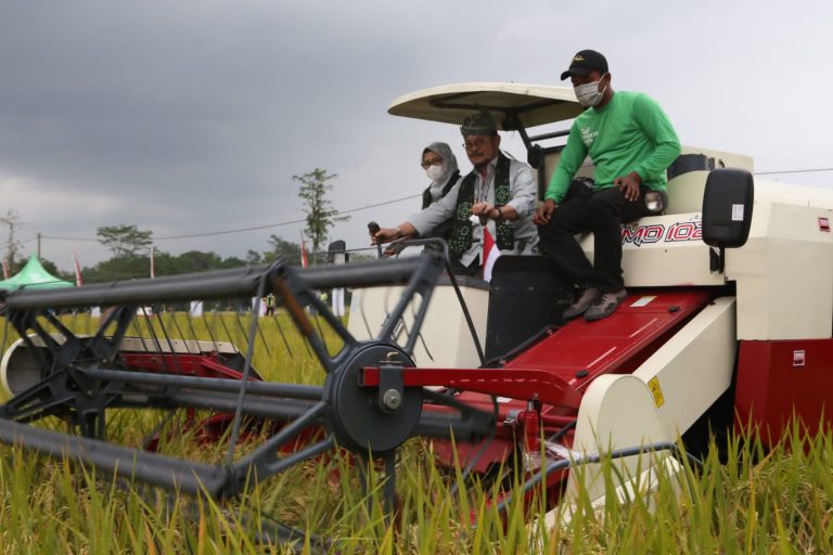 Menteri Pertanian Syahrul Yasin Limpo (Mentan SYL) bersama Bupati Blitar, Rini Syarifah melakukan panen padi aplikasi Biosaka di Desa Tegalrejo, Kecamatan Selopuro, Kabupaten Blitar