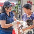 Bali Kendalikan PMK dan Rabies, Siap Sukseskan KTT G20 Mendatang