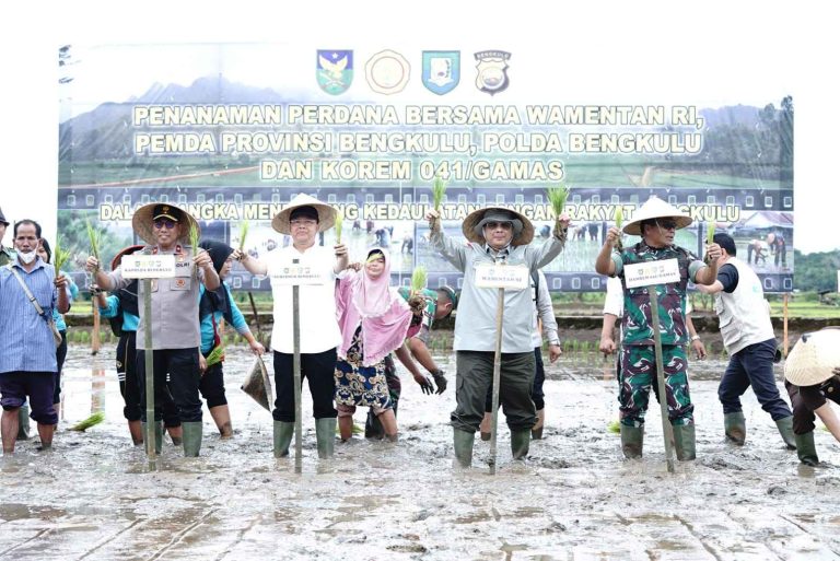 Wakil Menteri Pertanian (Wamentan) Harvick Hasnul Qolbi menggelar tanam padi serentak di Kabupaten Bengkulu Tengah,