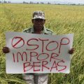 DPR Curiga Kebijakan Impor Beras Adalah By Design