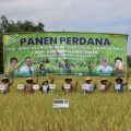 Komitmen Kementan Penuhi Kebutuhan Pangan Sepanjang Tahun 2023