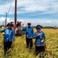 Lampung Provinsi Produsen Beras ke 6 Nasional, Setahun Surplus 1,34 juta ton Siap Saat Nataru