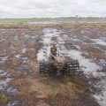 Pemprov Kalteng: Food Estate Bukan Program Kaleng-kaleng, Dampaknya Besar Terhadap Kesejahteraan Pet...