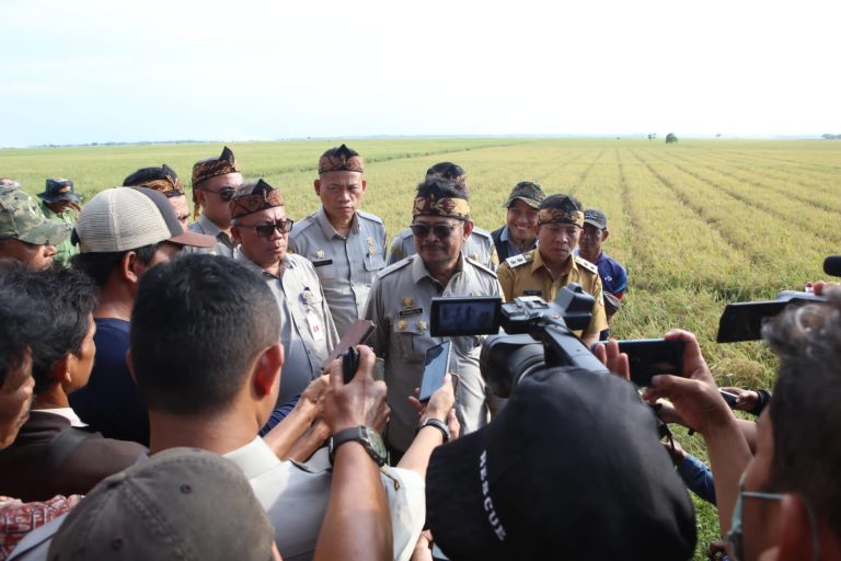 Mentan Syahrul Yasin Limpo (SYL) pada acara panen padi varietas Ciherang dan Inpari seluas 2.000 hektar bersama Wakil Bupati Karawang, Aep Saepulloh di Desa Ciptamarga, Kecamatan Jayakerta, Karawang.