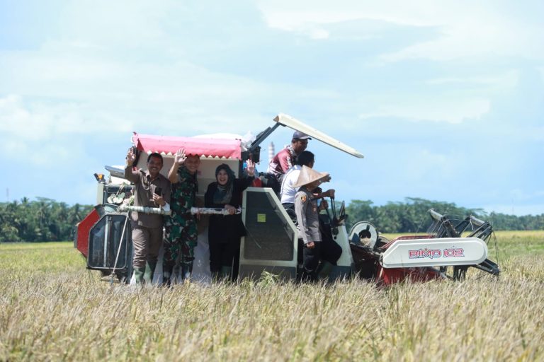 Direktur Jenderal Tanaman Pangan Kementan, Suwandi Bersama Plt Gubernur Banten, Al Muktabar dan Bupati Pandeglang, Irna Narulita Saat Panen Raya di Pandeglang, Banten