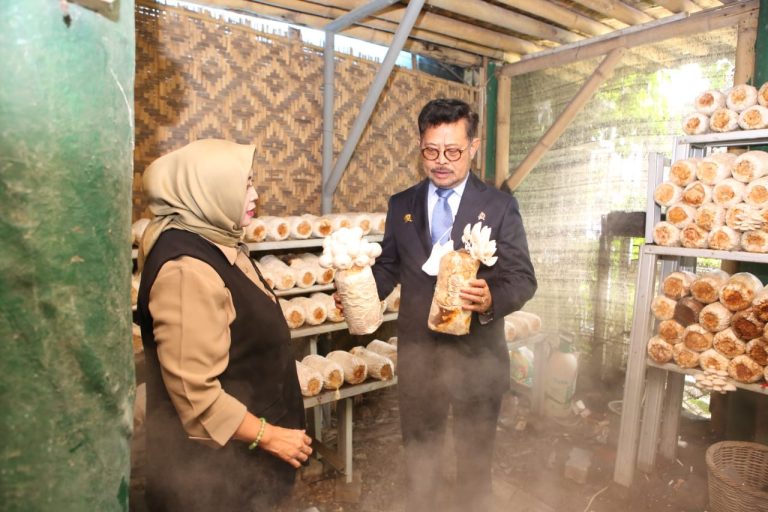 Mentan Syahrul saat meninjau integrated farming yang dikelola P4S Swen Inovasi Mandiri di Ciomas, Bogor usai menghadiri pelantikan Rektor IPB periode 2023-2028, Rabu(18/1/23).