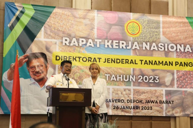 Menteri Pertanian Syahrul Yasin Limpo (Mentan SYL)