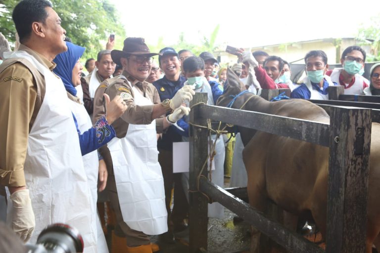 Kick Off Pengendalian dan Penanggulangan Penyakit Mulut dan Kuku (PMK) Nasional 2023