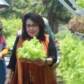 Ketua Bidang V Oase-KIM Dorong Masyarakat Manfaatkan Pekarangan Rumah Sebagai Sumber Makanan Sehat
