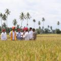 Jadi Wilayah Surplus Beras Nasional, Mentan SYL Dorong Sulawesi Tengah Perluas Area Tanam