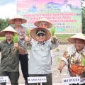 Wujudkan Akselerasi Ketahanan Pangan, Wamentan Tanam Padi dan Panen Jagung di Padang Pariaman