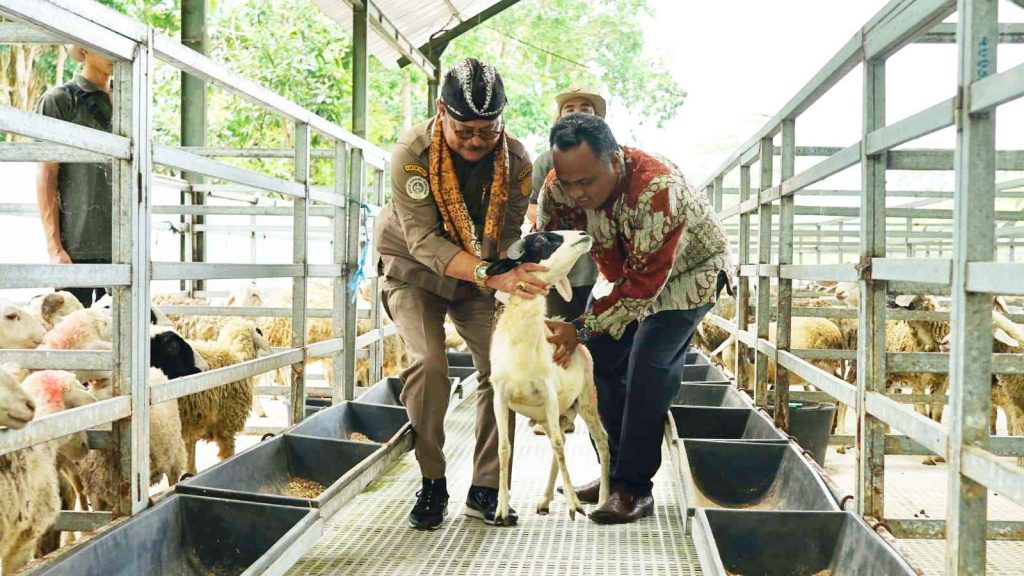 Menteri Pertanian Syahrul Yasin Limpo (Mentan SYL) saat menghadiri Ekspos Close Loop Peternakan Kambing Domba di Rajendra Farm Yogyakarta, Selasa, 14 Februari 2023.
