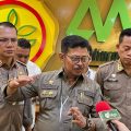 Mentan SYL Pastikan Ketersediaan Beras Januari, Februari dan Maret Aman