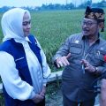 Mentan SYL Pantau Jalannya Panen Raya di Kabupaten Karawang, Pastikan Kondisi Beras Indonesia Aman
