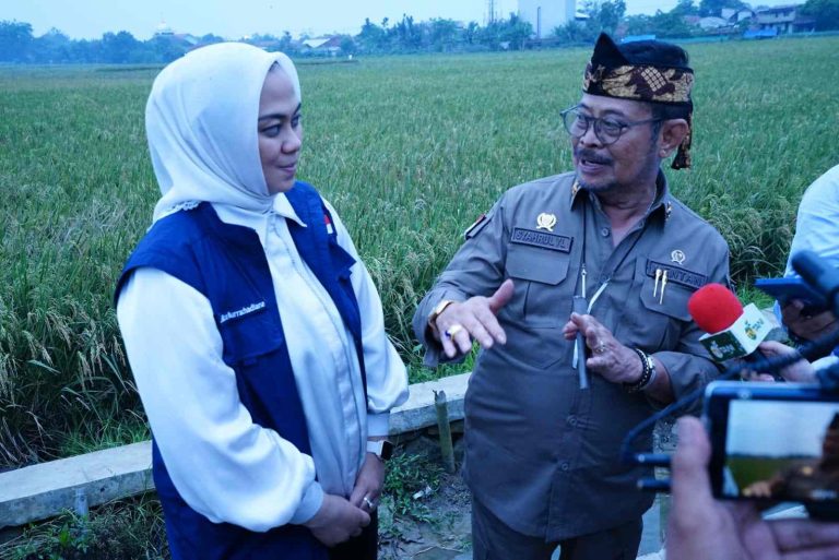 Menteri Pertanian Syahrul Yasin Limpo (Mentan SYL) bersama Bupati Karawang saat meninjau langsung kegiatan panen raya di Desa Plawad, Kecamatan Karawang Timur, Kabupaten Karawang, Jawa Barat.
