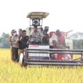 Masuk Musim Panen Padi, Mentan SYL Cek Kesiapan Penggilingan di Kabupaten Bogor