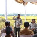 Mentan SYL: Masa Panen Raya Jawa Barat Masuk Sentra Produksi Beras