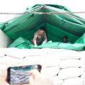 Mentan SYL Pastikan Kebutuhan Beras Untuk DKI Jakarta dan Nasional Aman