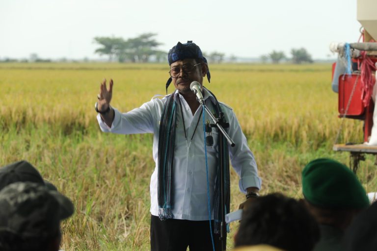 Menteri Pertanian Syahrul Yasin Limpo melakukan kegiatan panen raya padi di Desa Sujung, Kecamatan Tirtayasa, Kabupaten Serang, Banten (8/2).
