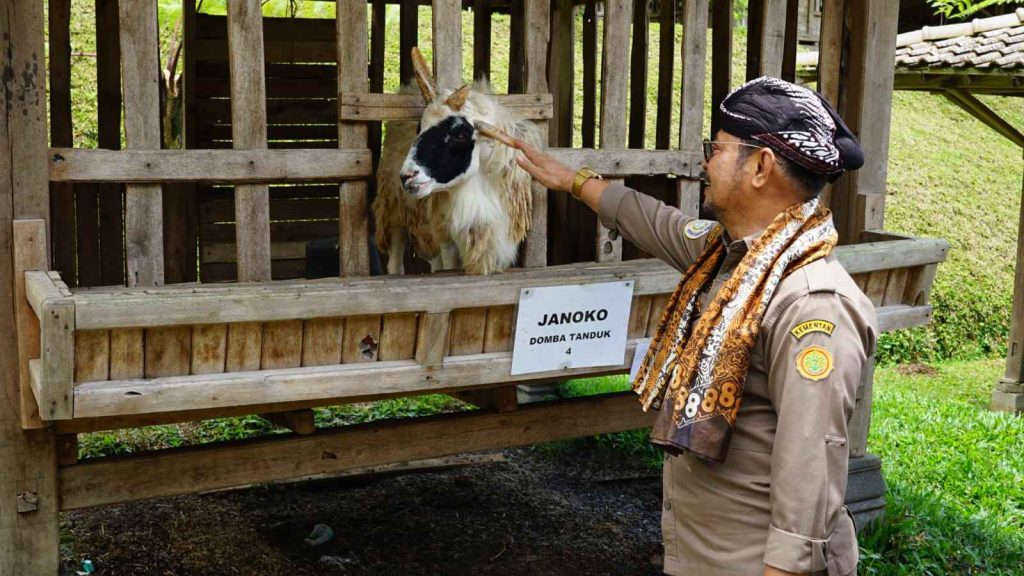 Menteri Pertanian Syahrul Yasin Limpo (Mentan SYL) saat menghadiri Ekspos Close Loop Peternakan Kambing Domba di Rajendra Farm Yogyakarta, Selasa, 14 Februari 2023.