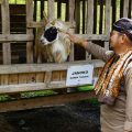 Tingkatkan Ekonomi Kerakyatan, Kementan Dorong Setiap Daerah Kembangkan Model Closed-Loop Peternakan...