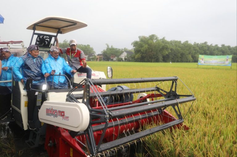 Menteri Pertanian, Syahrul Yasin Limpo dan Bupati Lamongan, Yuhronur Efendi saat melakukan Panen Raya Padi di Desa Sumberaji, Kecamatan Sukodadi, Kabupaten Lamongan.