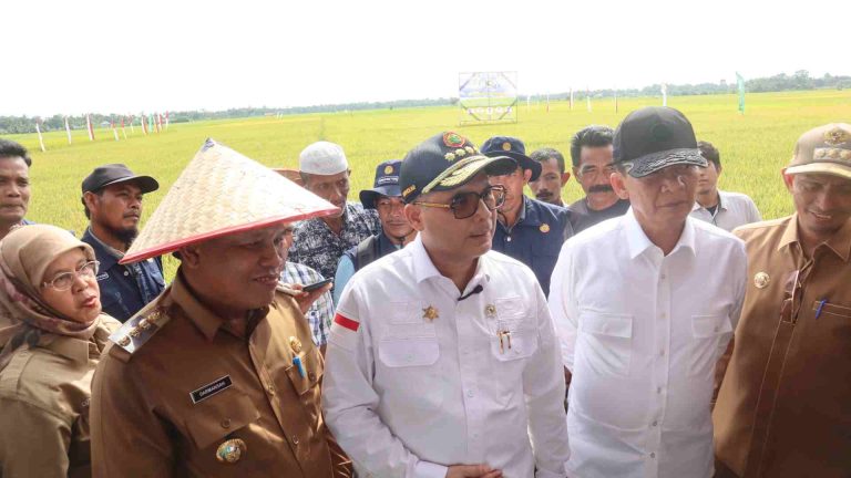 Wakil Menteri Pertanian (Wamentan), Harvick Hasnul Qolbi (tengah) saat panen raya padi di Kabupaten Aceh Barat bersama Pj Gubernur Aceh, Achmad Marzuki, Selasa (22/11/2022). Foto: istimewa