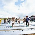 Angka NTP 110,53, Tertinggi Dalam 3 Tahun Terakhir