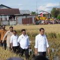 Presiden Joko Widodo (Jokowi) dan Menteri Pertanian Syahrul Yasin Limpo (Mentan SYL) meninjau jalannya panen raya padi di Kel. Baji Pamai, Kec. Maros Kota, Kab. Maros, Sulawesi Selatan.
