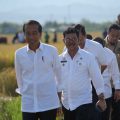 Presiden Jokowi bersama Mentan SYL Panen Raya di Maros Sulsel