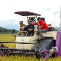 BPS: Kementan Berperan Besar Dalam Peningkatan Luas Panen 2022