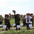 Sambut HBKN, Kementan dan Kemendag Sinergi Amankan Stok dan Harga Bawang Merah