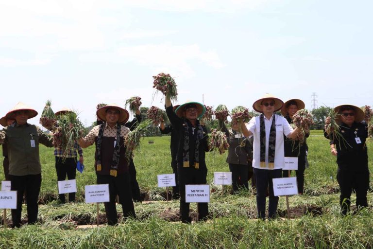 WhatsApp Image 2023-03-05 at 16.57.20_11zon