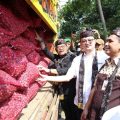 Mentan SYL dan Wamendag Panen Raya dan Lepas Pasokan Bawang Merah Ke Ibukota