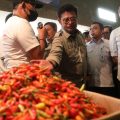 Mentan SYL bersama PJ Gub DKI Sidak Pasar Kramatjati, Pastikan Bawang dan Cabai Aman