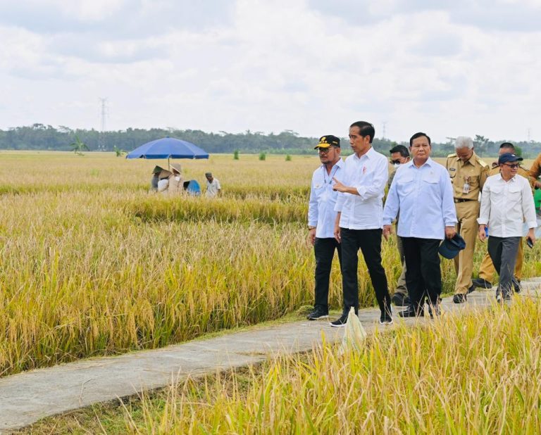 Panen Raya - kementan