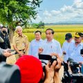 Presiden Joko Widodo (Jokowi) didampingi Menteri Pertanian dan sejumlah pejabat negara termasuk Gubernur Jawa Tengah Ganjar Pranowo baru saja melaksanakan panen raya di Kabupaten Kebumen, Jawa Tengah.