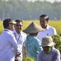 Presiden Joko Widodo saat menghadiri panen raya padi di Ngawi, Jawa Timur, Sabtu, 11 Maret 2023.