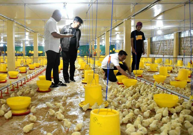 Mentan SYL usai meninjau Mappaseling Farm di Dusun Kaballokang Desa Moncongloe Kecamatan Manuju Kabupaten Gowa, Sulawesi Selatan, Rabu(22/3/23).