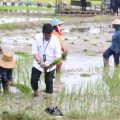 Antisipasi El Nino, Kementan Susun Berbagai Strategi