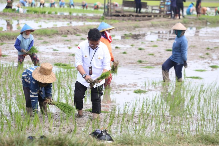 Menteri Pertanian Syahrul Yasin Limpo (Mentan SYL) melakukan tanam padi di Desa Senori, Kecamatan Merakurak, Kabupaten Tuban, Jawa Timur.